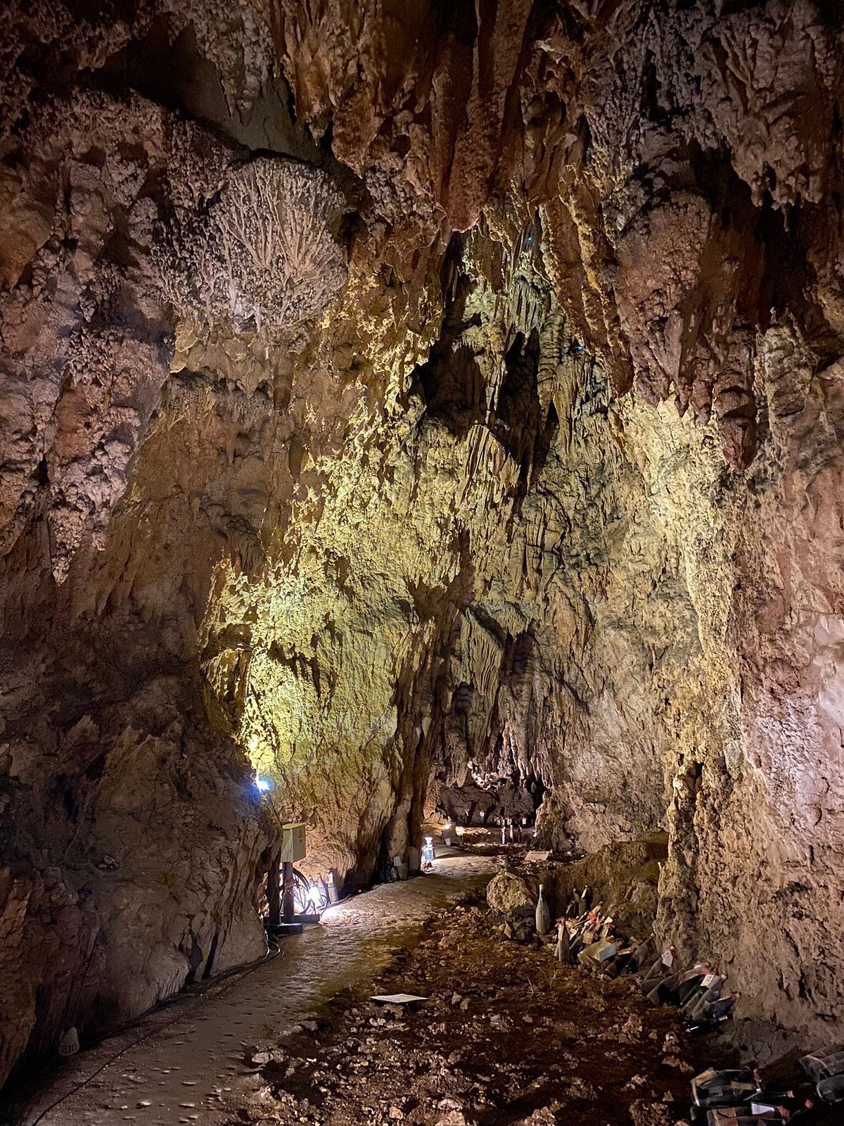 🏞️ 나카하라 석회 동굴 (나카하라 쇼뉴도) 이미지 4